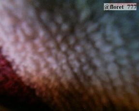 floret_777_130616_1433_myfreecams