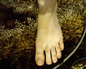 Siriis private recording 2015 September 12_02-58-03