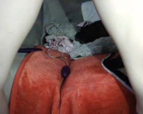 PetiteC free cam recording 2015 June 24_01-47
