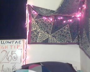willow fae pub cum