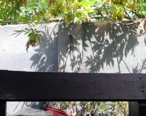 Little_mia webcam show 2020-02-29_14-45-39_350