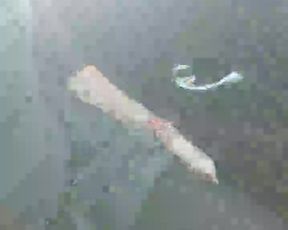 Sexytohott webcam show 2020-03-19_14-36-54_597