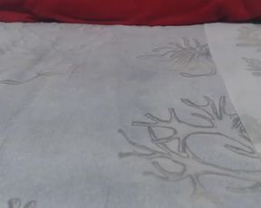 NatusiaKRAKOW19Latek cam recording 2020-09-02 11-47-04 552