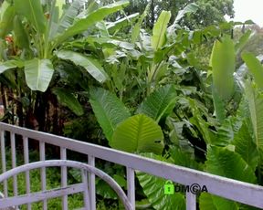 HellaHardcore cam show 2020-09-05 16-11-37 380