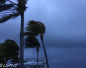 katee owen storm