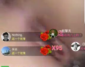 面纱公主