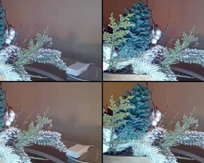 Wholelottaloveee cam recording 2016-12-31 030917